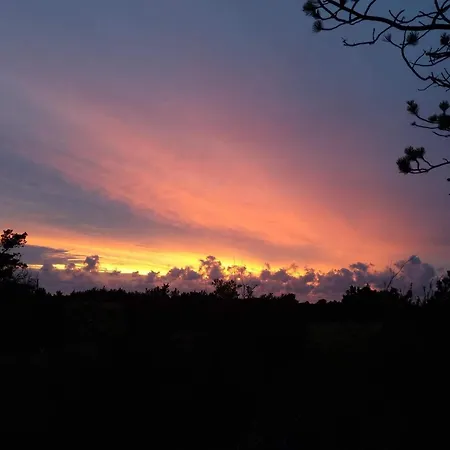 6 Person In Hurup Thy-by Traum 別荘